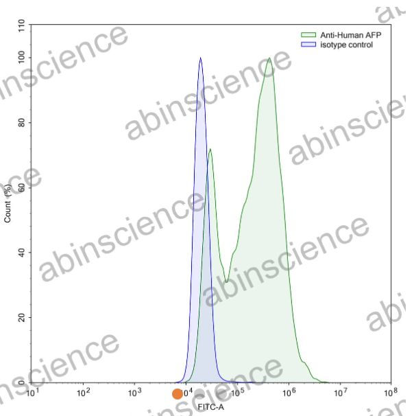 AbinScience InVivoMAb Anti-Human Alpha-Fetoprotein/AFP Antibody (Iv0166) (HY276010-100UG)