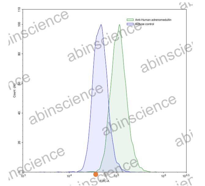 AbinScience InVivoMAb Anti-Human Proadrenomedullin/Pro-ADM Antibody (Iv0159) (HW442010-50UG) AbinScience InVivoMAb Anti-Human Proadrenomedullin/Pro-ADM Antibody (Iv0159) (HW442010-50UG)