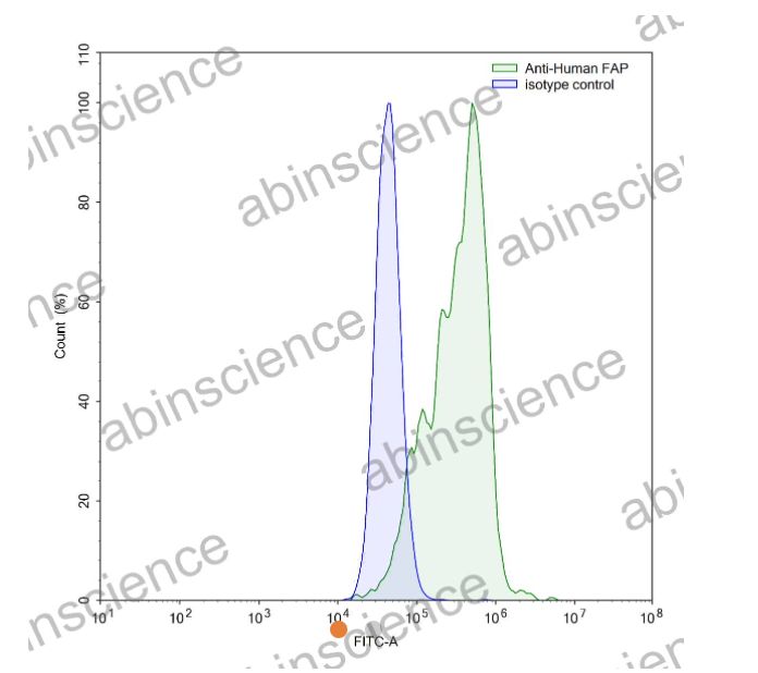 AbinScience InVivoMAb Anti-Human Fibroblast activation protein alpha/FAP Antibody (Iv0096) (HC440010-50UG)
