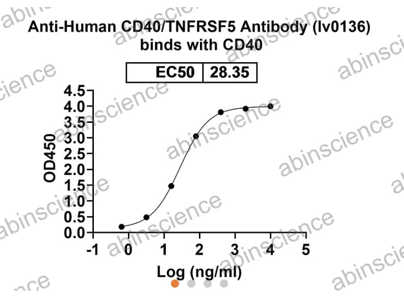 AbinScience InVivoMAb Anti-Human CD40/TNFRSF5 Antibody (Iv0136) (HB782010-100UG) AbinScience InVivoMAb Anti-Human CD40/TNFRSF5 Antibody (Iv0136) (HB782010-100UG)