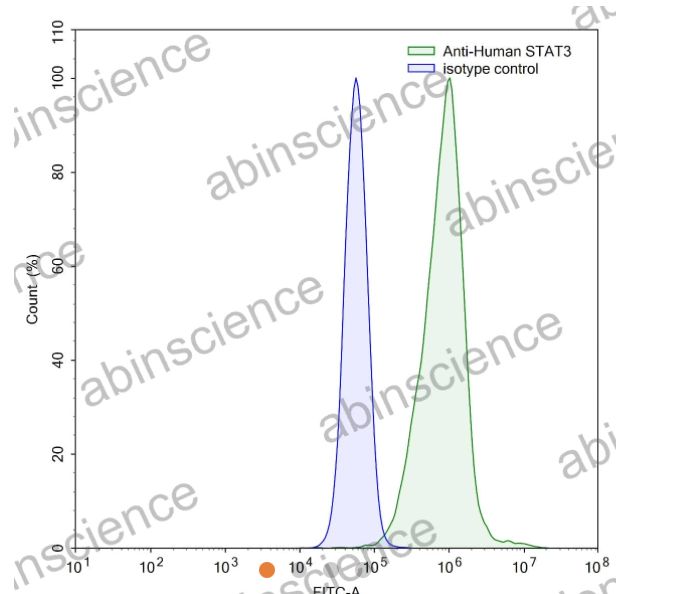 AbinScience InVivoMAb Anti-Human STAT3 Antibody (Iv0126) (HW708010-50UG)