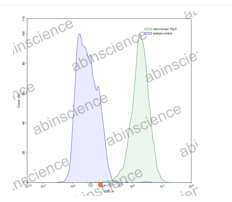 AbinScience InVivoMAb Anti-Human TSLP Antibody (Iv0094) (HV243010-1MG)