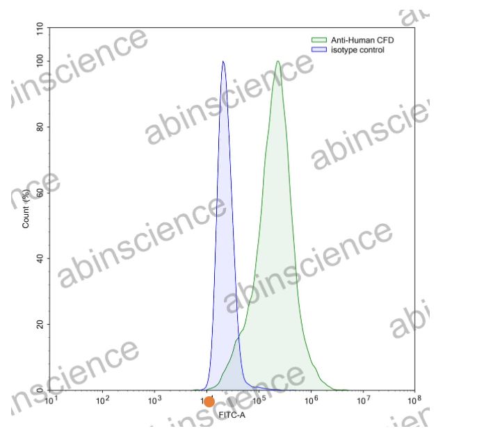 AbinScience InVivoMAb Anti-Human Complement Factor D/Adipsin Antibody (Iv0118) (HF697010-50UG)