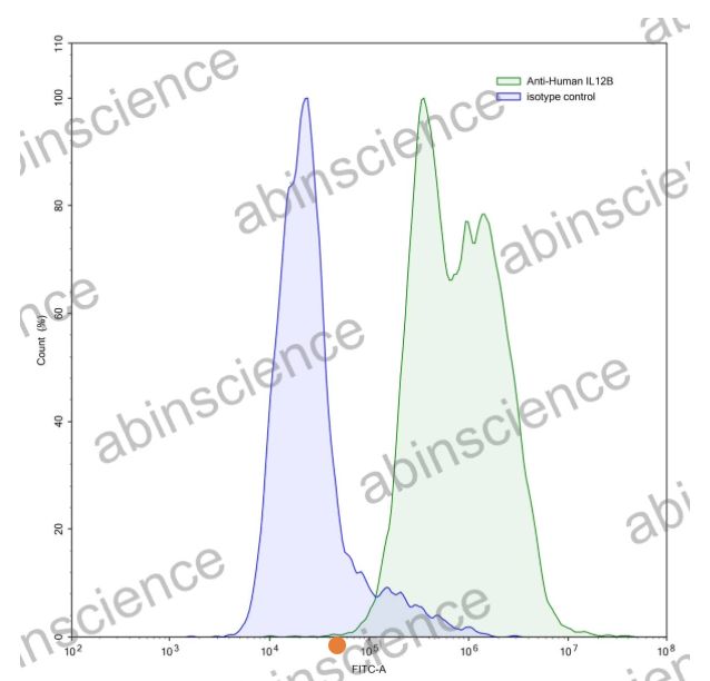 AbinScience InVivoMAb Anti-Human IL-12/IL-23 p40 Antibody (Iv0026) (HB769010-1MG)
