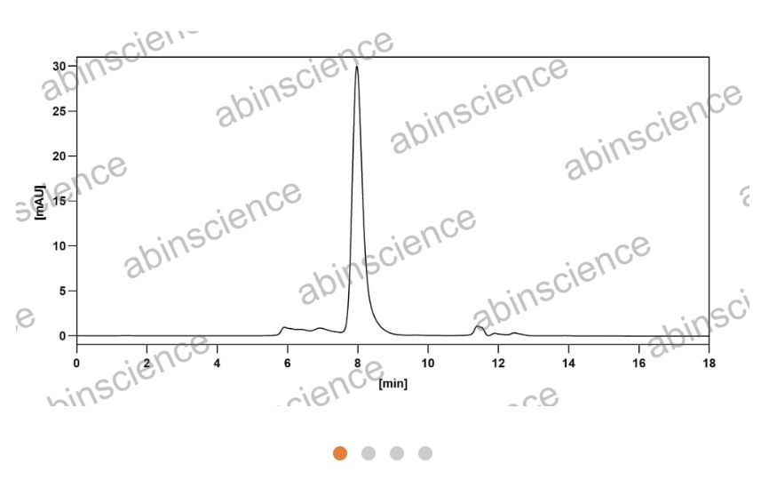 AbinScience InVivoMAb Anti-Human CX3CL1/Fractalkine Antibody (Iv0091) (HX143010-50UG)