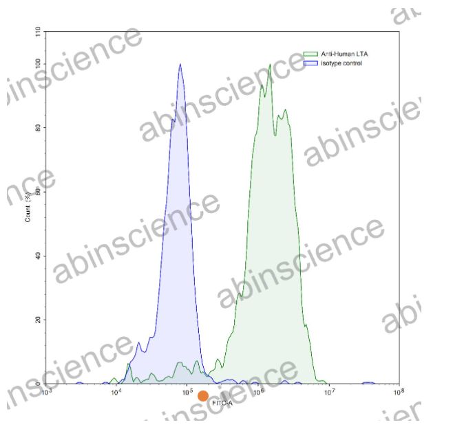 AbinScience InVivoMAb Anti-Human Lymphotoxin-alpha/TNF-beta Antibody (Iv0051) (HF686010-100UG)
