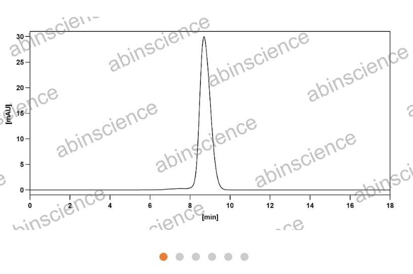 AbinScience InVivoMAb Anti-Human IGF-I/IGF-1 Antibody (Iv0063) (HY095010-100UG)