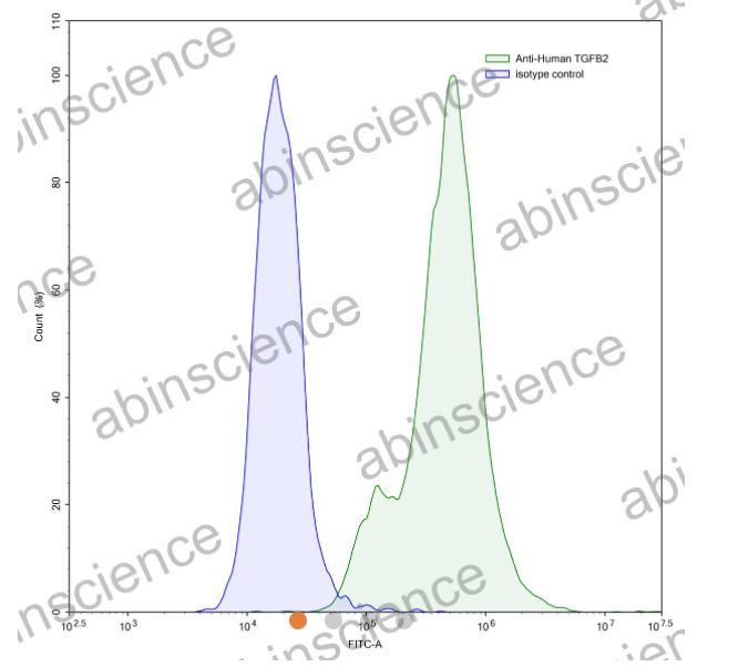 AbinScience InVivoMAb Anti-Human TGF-beta 2 Antibody (Iv0070) (HX861010-50UG)
