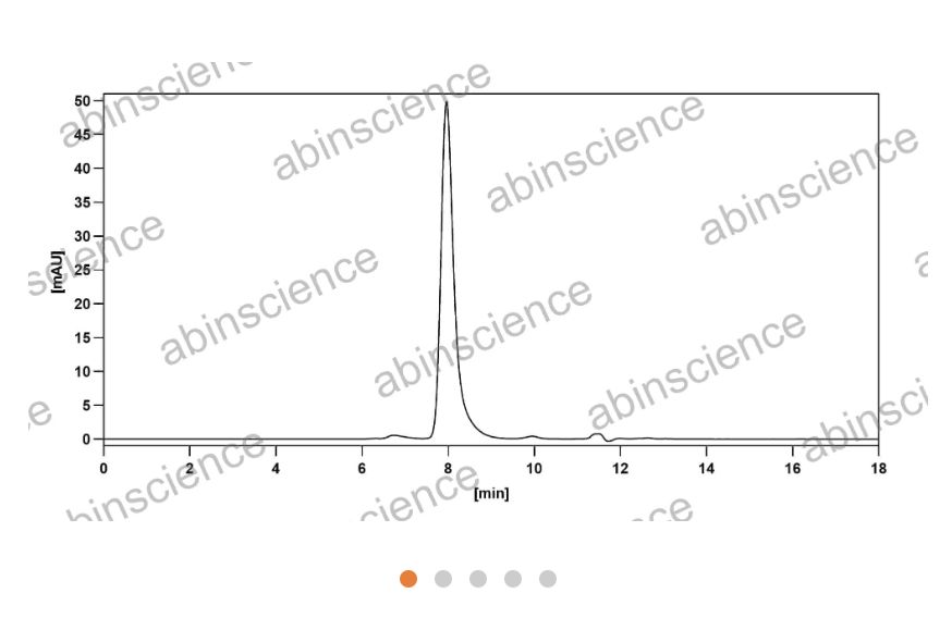 AbinScience InVivoMAb Anti-Human VEGF Antibody (Iv0071) (HB941010-100UG)
