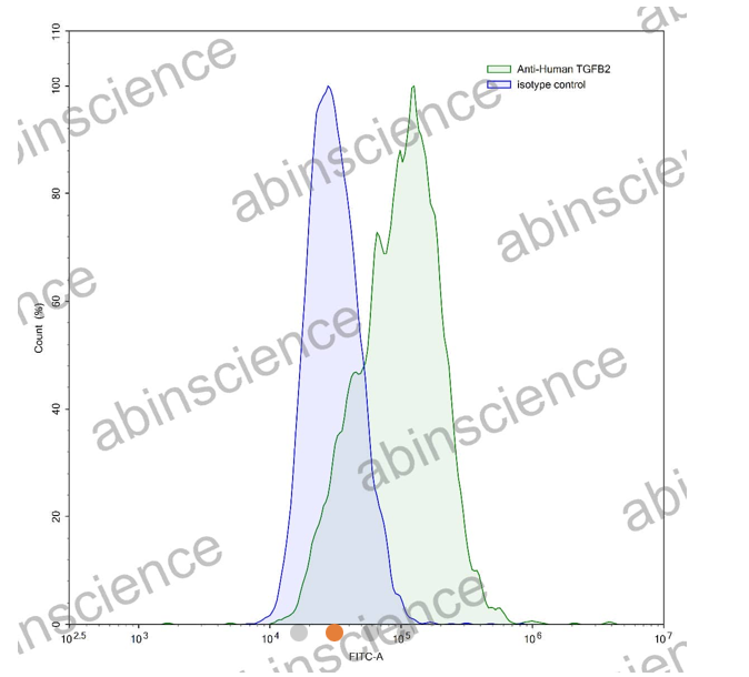 AbinScience InVivoMAb Anti-Human TGF-beta 2 Antibody (Iv0070) (HX861010-1MG)