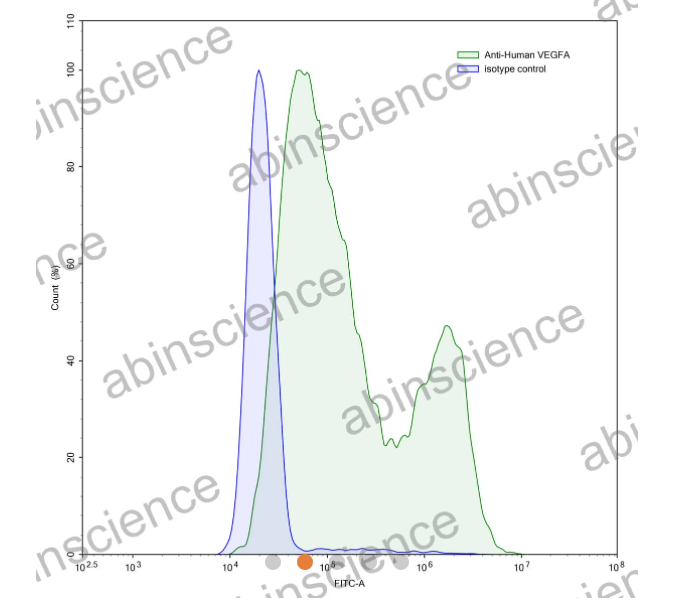 AbinScience InVivoMAb Anti-Human VEGF Antibody (Iv0071) (HB941010-1MG)