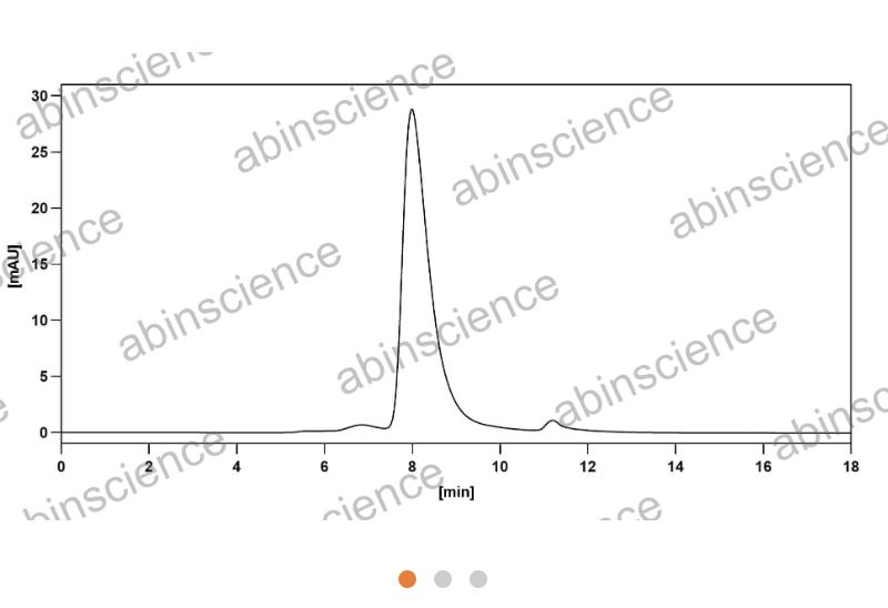 Abinscience InVivoMAb Anti-Human IL-13 Antibody (Iv0027) (HW632010-50ug)