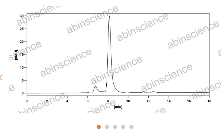 Abinscience InVivoMAb Anti-Human CCL2/JE/MCP-1 Antibody (Iv0077) (HY280010-50ug)