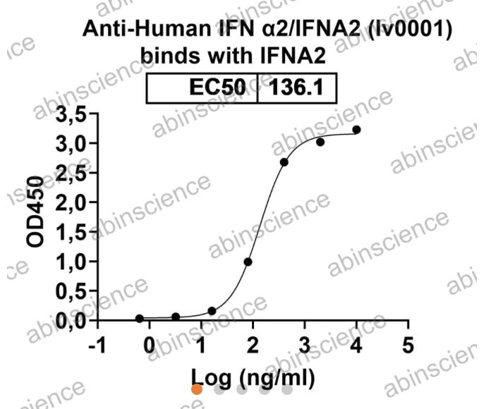 Abinscience InVivoMAb Anti-Human IFN-alpha 2/IFNA2 Antibody (Iv0001) (HF827010-50ug)