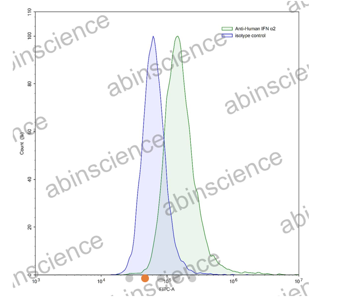 Abinscience InVivoMAb Anti-Human IFN-alpha 2/IFNA2 Antibody (Iv0001) (HF827010-100ug)