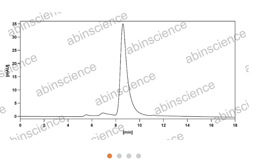 Abinscience InVivoMAb Anti-Human beta-NGF Antibody (Iv0066) (HF909010-1mg)
