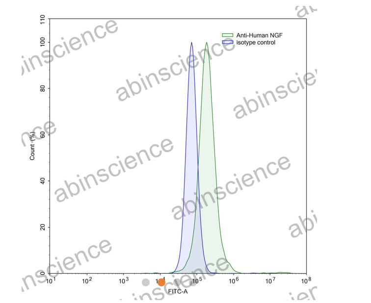 Abinscience InVivoMAb Anti-Human beta-NGF Antibody (Iv0066) (HF909010-1mg)