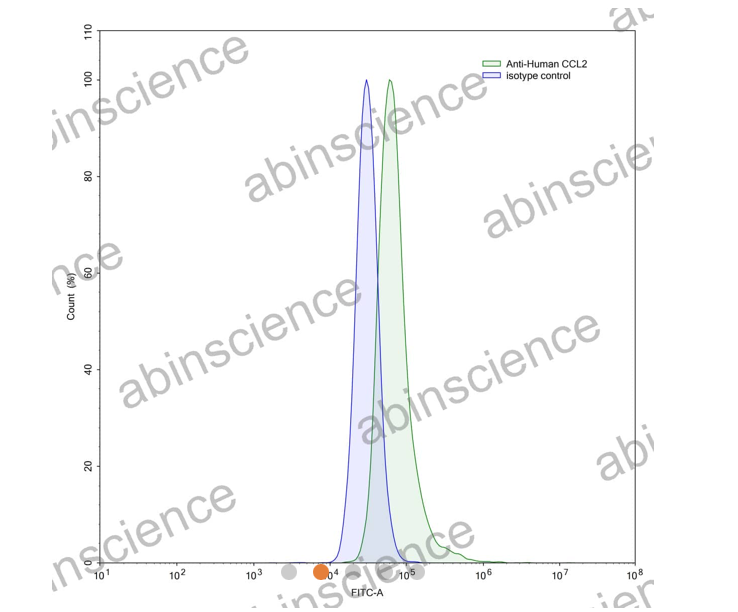 Abinscience InVivoMAb Anti-Human CCL2/JE/MCP-1 Antibody (Iv0077) (HY280010-100ug)