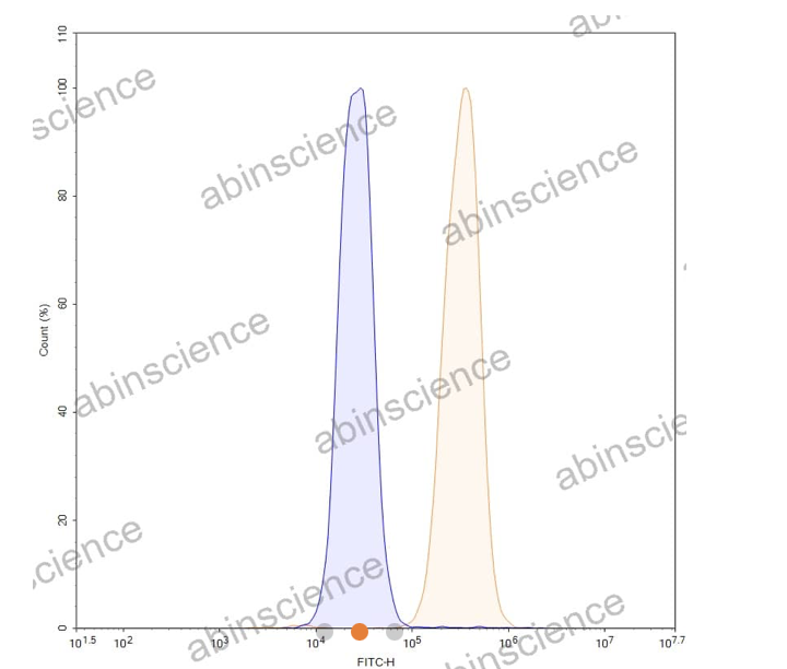 Abinscience InVivoMAb Anti-Human Apolipoprotein E/ApoE Antibody (HJ15.4) (HF739040-1mg)