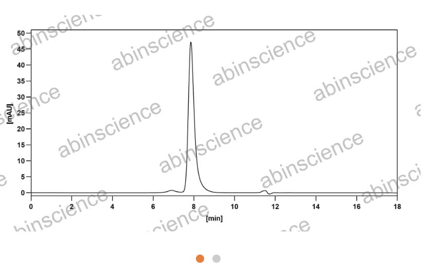 Abinscience InVivoMAb Anti-Human NG2/MCSP Antibody (Iv0168) (HV349010-100ug)