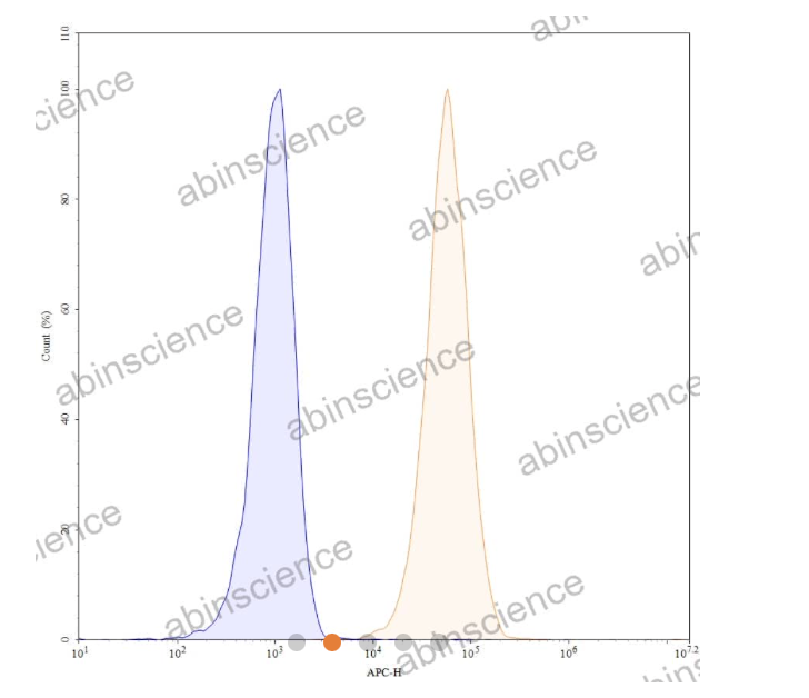 Abinscience InVivoMAb Anti-Human PD-L1/B7-H1 Antibody (PRO304397) (HV974010-50ug)