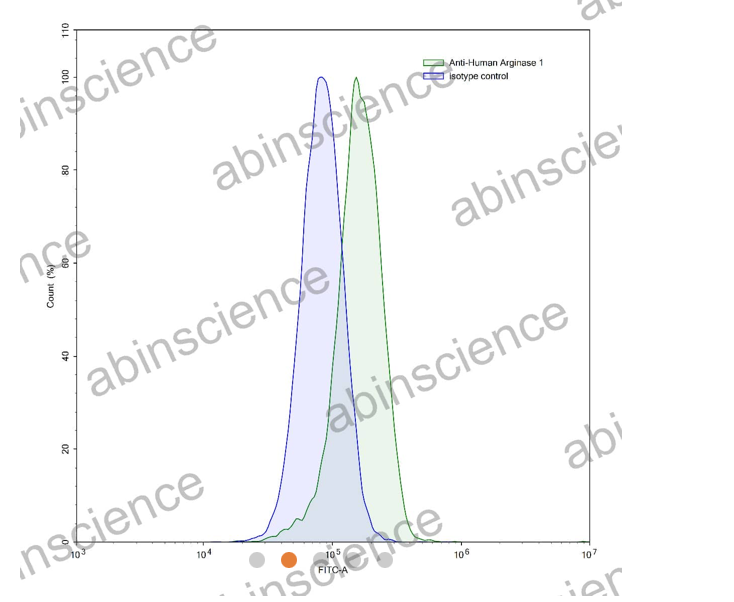 Abinscience InVivoMAb Anti-Human ARG1/Arginase-1 Antibody (Iv0120) (HY339010-100ug)