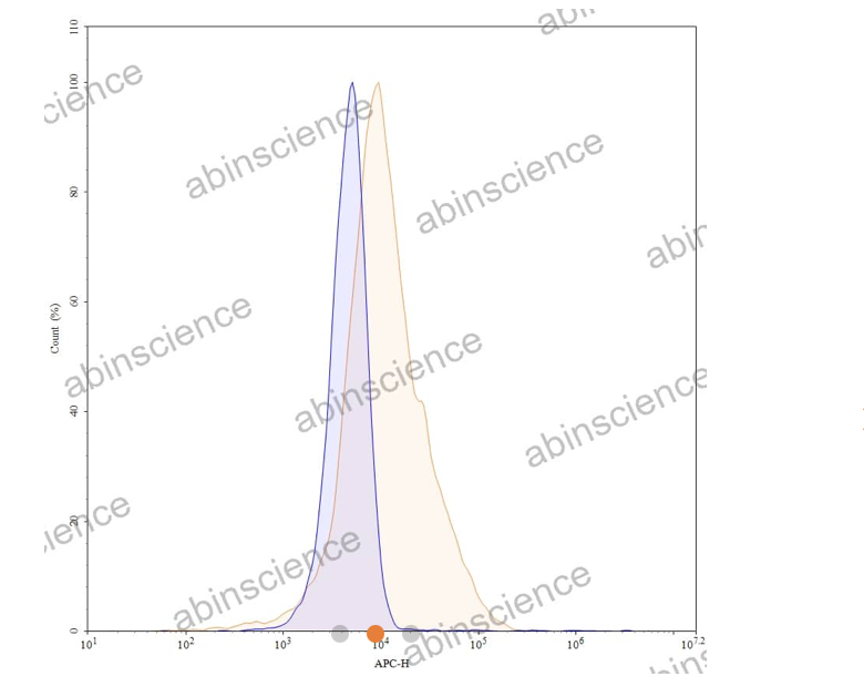 Abinscience InVivoMAb Anti-Human TSG101 Antibody (Iv0253) (HV181010-100ug)