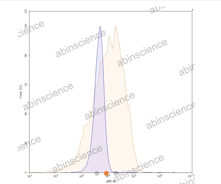 Abinscience InVivoMAb Anti-Human TSG101 Antibody (Iv0254) (HV181020-100ug)