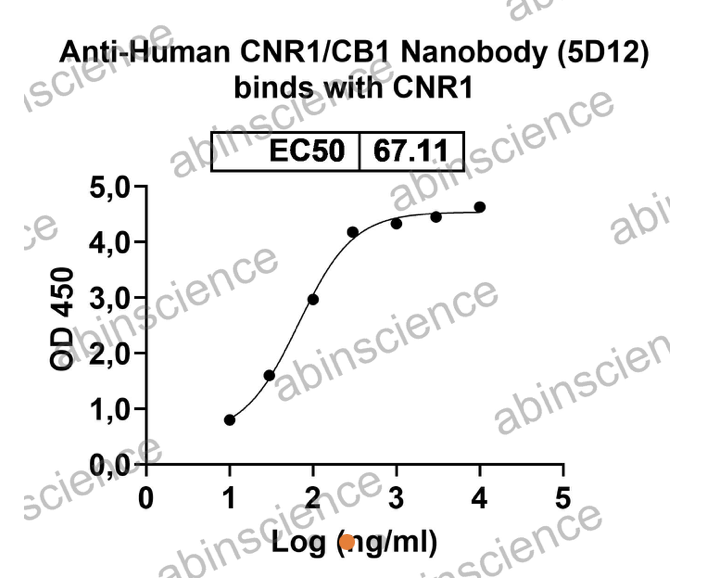Abinscience InVivoMAb Anti-Human Cannabinoid R1/CB1/CNR1 Antibody (5D12) (HB822010-50ug)