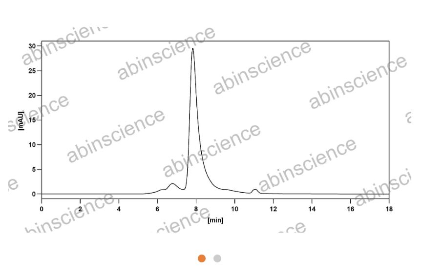 Abinscience Anti-Human APP Reference Antibody (Crenezumab, RUO) (HY235016)