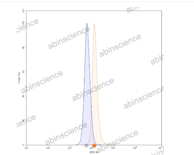 Abinscience Anti-Human APP Reference Antibody (MEDI1814, RUO) (HY235136)