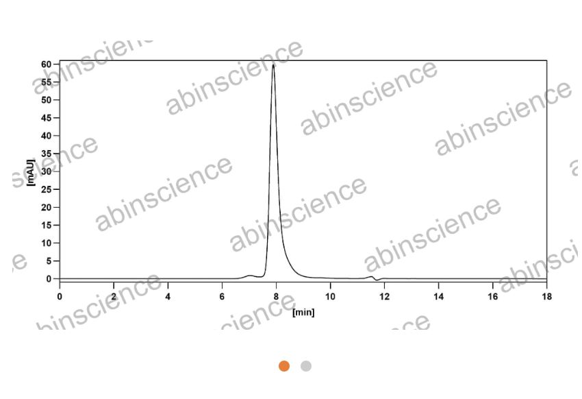 Abinscience Anti-Human APP Reference Antibody (Donanemab, RUO) (HY235026)