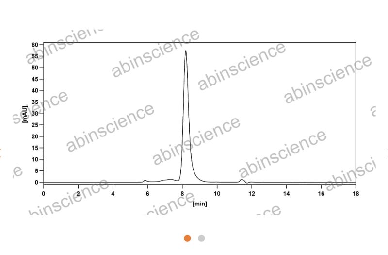 Abinscience Anti-Human APP Reference Antibody (Ponezumab, RUO) (HP529016)