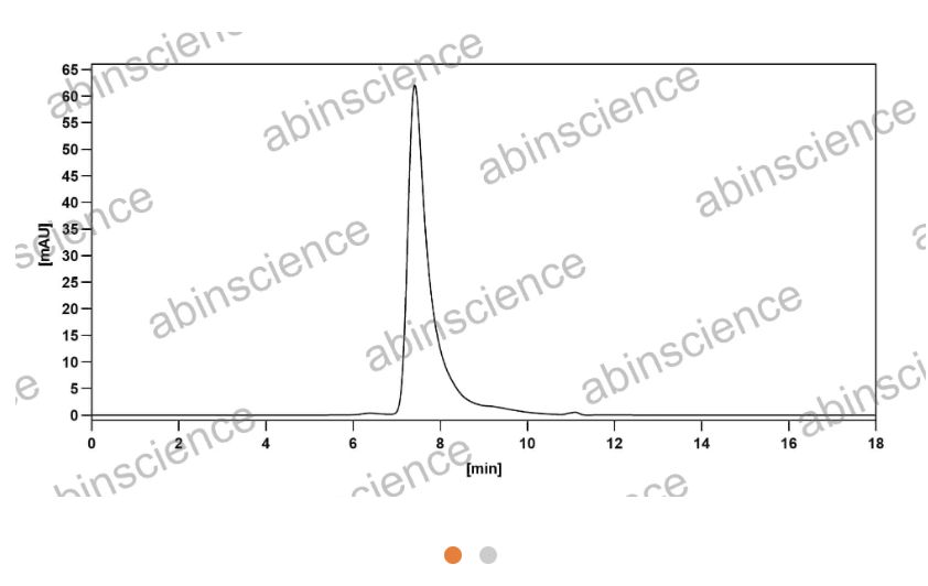 Abinscience Anti-Human APP Reference Antibody (Solanezumab, RUO) (HY235056)