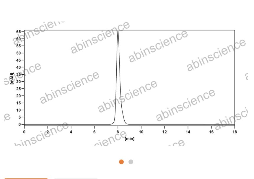 Abinscience Anti-Human APP Reference Antibody (Bapineuzumab, RUO) (HY235076)