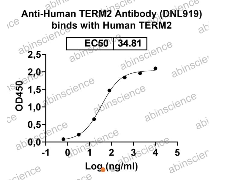Abinscience Anti-Human TERM2 Reference Antibody (DNL919, RUO) (HV166056)