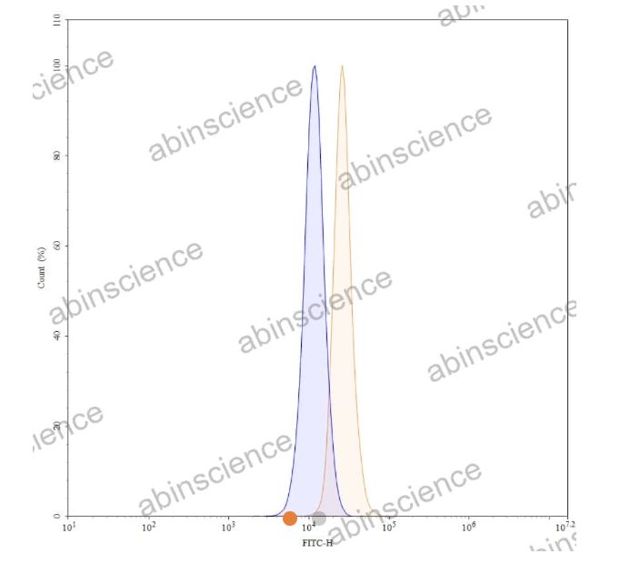 Abinscience Anti-Human Tau Reference Antibody (Posdinemab, RUO) (HY086066)