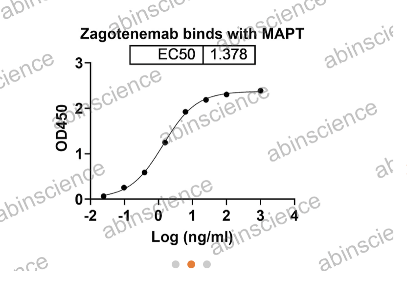 Abinscience Anti-Human Tau Reference Antibody (Zagotenemab, RUO) (HY086026)