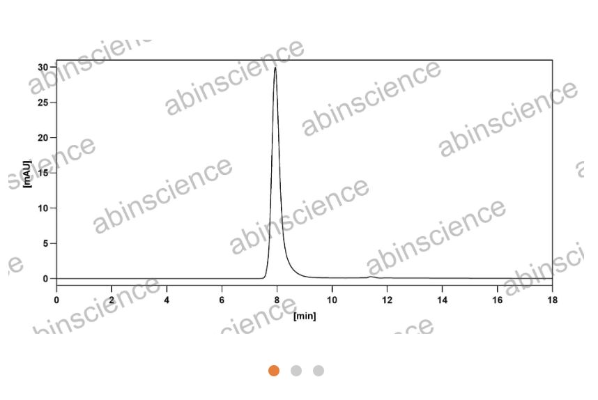 Abinscience Anti-Human Tau Reference Antibody (Zagotenemab, RUO) (HY086026)