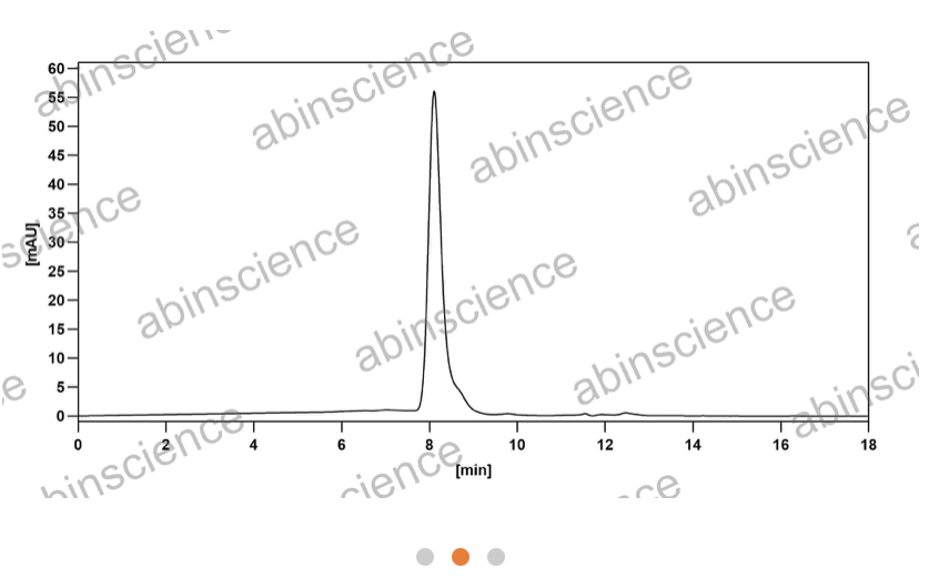 Abinscience Anti-Human Tau Reference Antibody (Semorinemab, RUO) (HY086046)