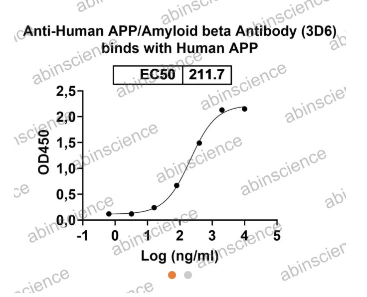 Abinscience Anti-Human APP Recombinant Antibody (3D6) (HY235063)