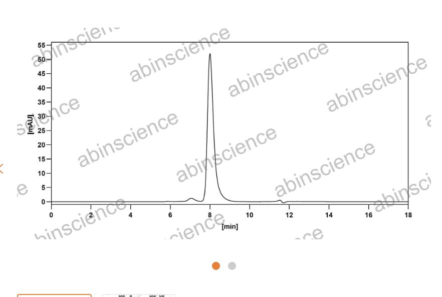 Abinscience Anti-Human Phospho-Tau (pS202/pT205) Recombinant Antibody (AT8) (HY086123)