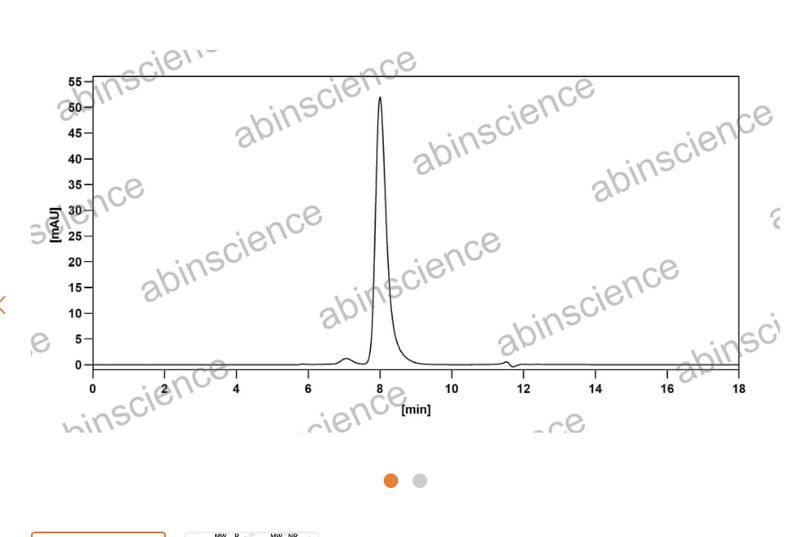 Abinscience Anti-Human Phospho-Tau (pS202/pT205) Recombinant Antibody (AT8) (HY086123)