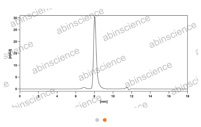 Abinscience Anti-Human TREM2 Recombinant Antibody (SAA0548) (HV166107)