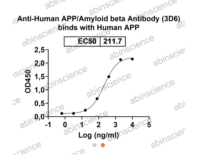 Abinscience Human APP Recombinant Protein (C-Fc) (HY235011)