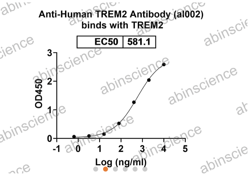 Abinscience Human TREM2 Recombinant Protein (C-His) (HV166021)