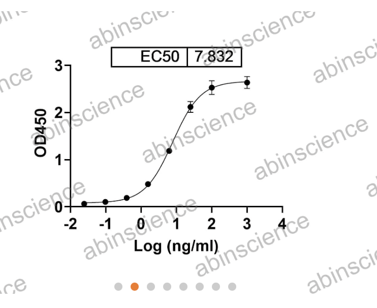 Abinscience Human Tau Recombinant Protein (C-His) (HY086012)