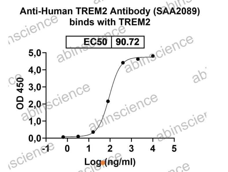 Abinscience Anti-Human TREM2 Recombinant Antibody (SAA2089) (HV166043)