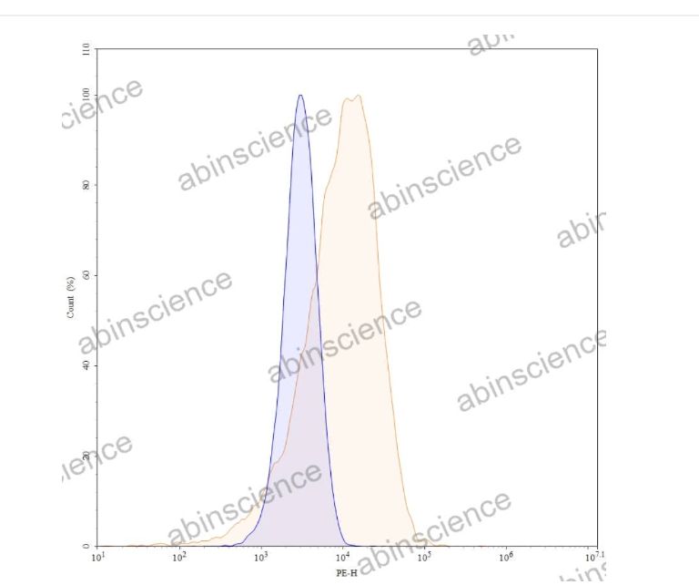 Abinscience Anti-Human Tau Recombinant Antibody (IPN-002), PE (HY086127)