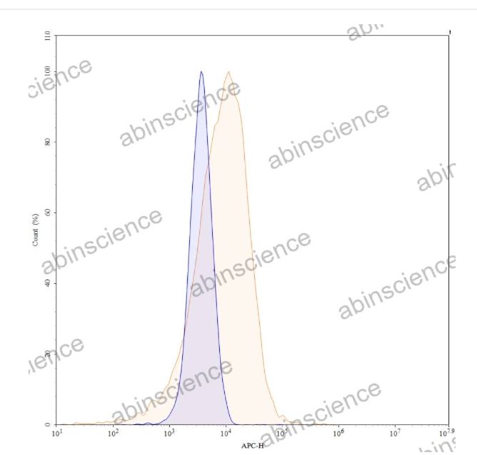 Abinscience Anti-Human Tau Recombinant Antibody (IPN-002), APC (HY086137)